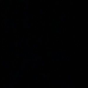 Meet your Posher, Maddie